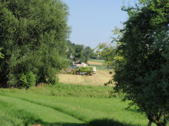 Traktoren und Mähdrescher - 