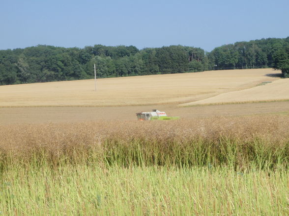 Traktoren und Mähdrescher - 