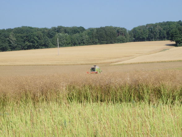 Traktoren und Mähdrescher - 