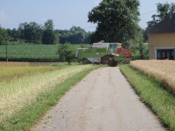 Traktoren und Mähdrescher - 