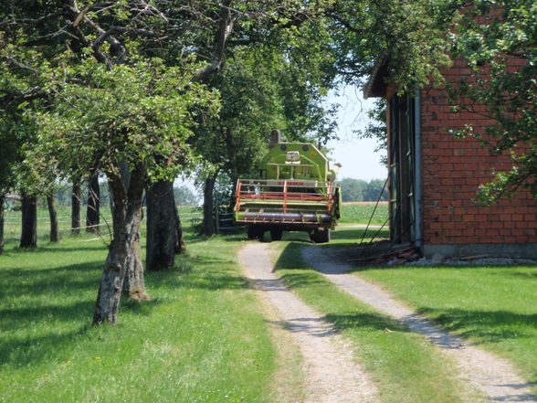 Traktoren und Mähdrescher - 