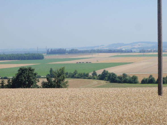 Traktoren und Mähdrescher - 