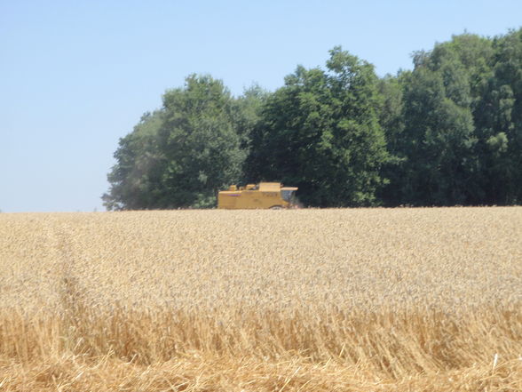 Traktoren und Mähdrescher - 