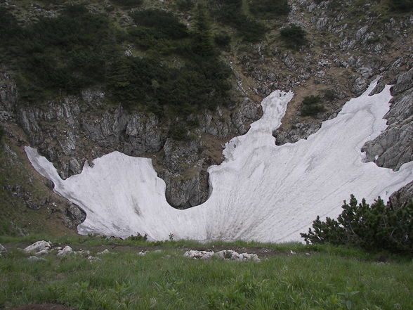 Bergsteigen - 