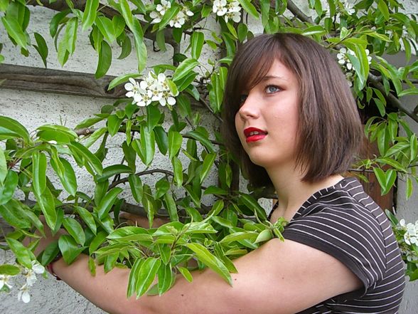 Fotoshoot im Grünnen - 