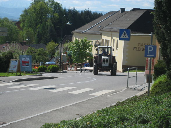 Unser Maibaum aufstön in St.Martin - 