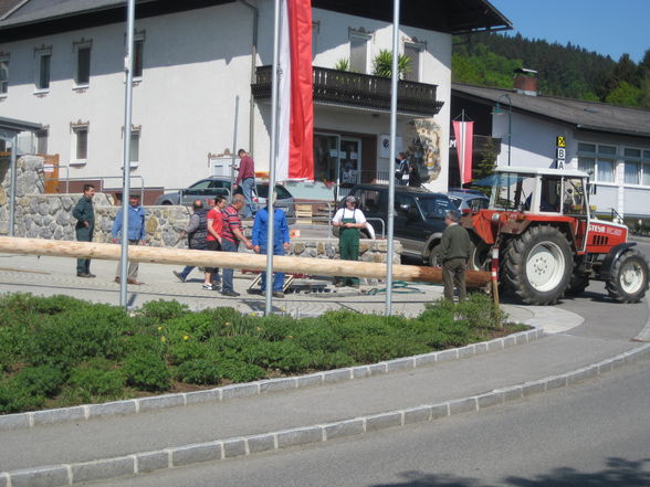 Unser Maibaum aufstön in St.Martin - 