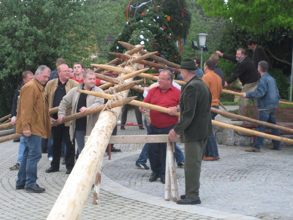 Unser Maibaum aufstön in St.Martin - 