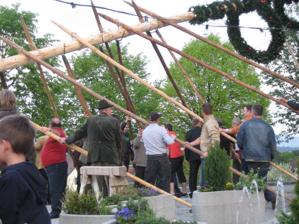 Unser Maibaum aufstön in St.Martin - 