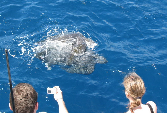 St. Lucia / Caribean Sea - 