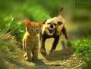 kAtZeN^^ - 