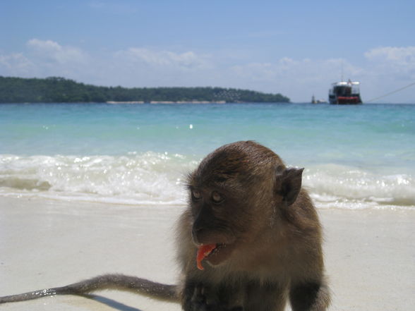 Thailand 2009 - 