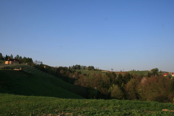 alte Heimat - Südsteiermark - 