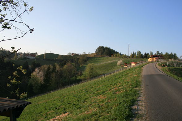 alte Heimat - Südsteiermark - 