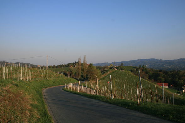 alte Heimat - Südsteiermark - 