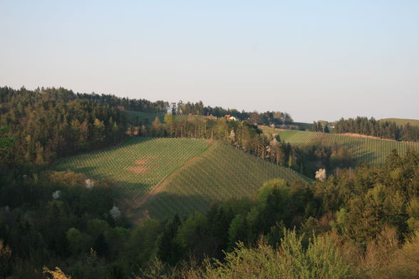 alte Heimat - Südsteiermark - 