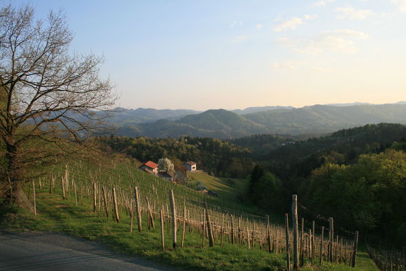 alte Heimat - Südsteiermark - 