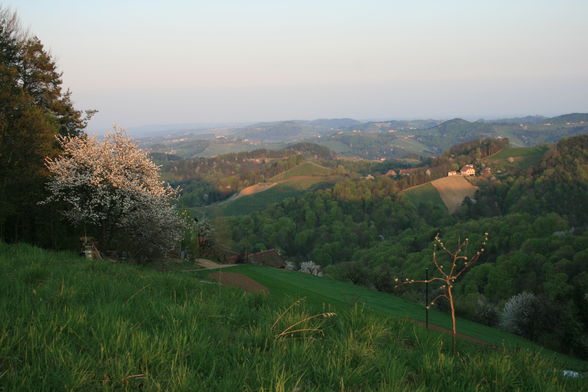 alte Heimat - Südsteiermark - 