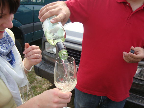 Weinlese09 - 