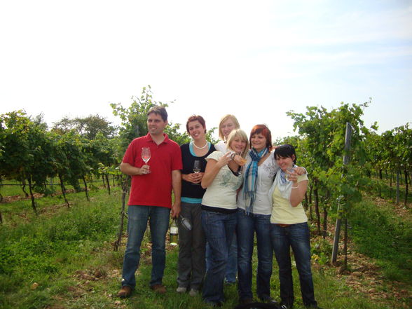 Weinlese09 - 