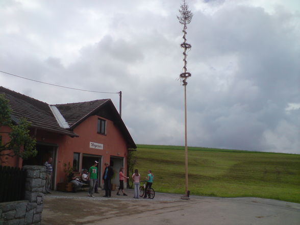 Unser gestohlener MAIBAUM  =) - 