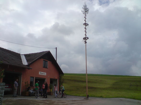 Unser gestohlener MAIBAUM  =) - 