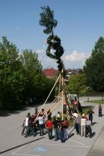 Maibaum aufstellen! - 