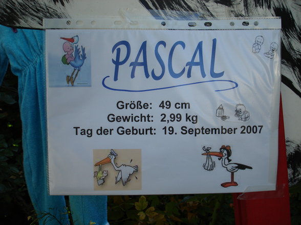 Pascal  neue Fotos - 