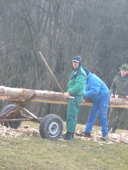 Maibaum schälen - 