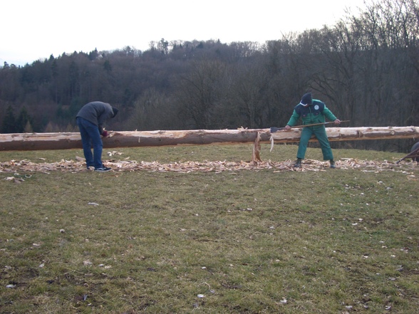 Maibaum schälen - 