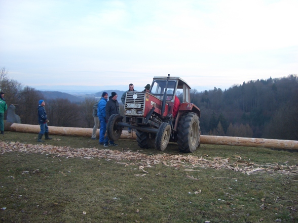 Maibaum schälen - 