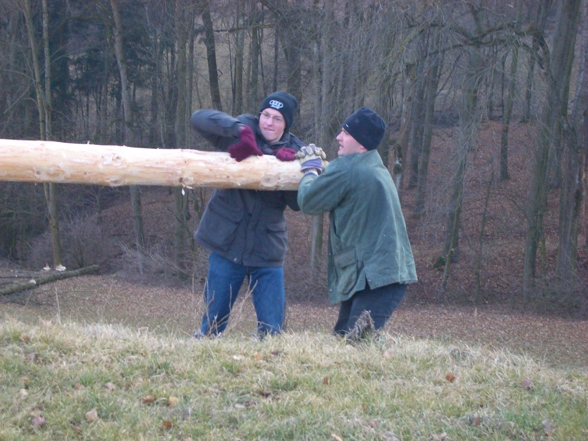 Maibaum schälen - 