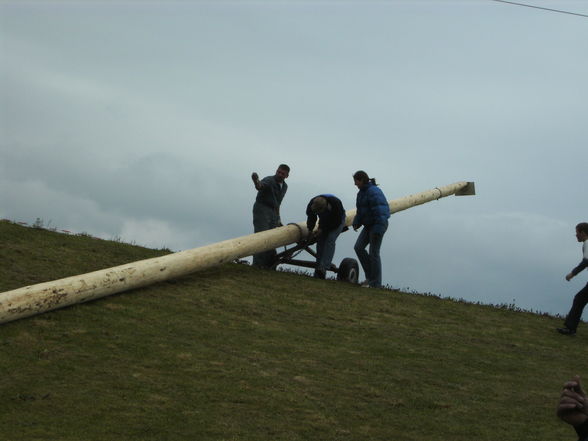 Maibaum aufstellen - 