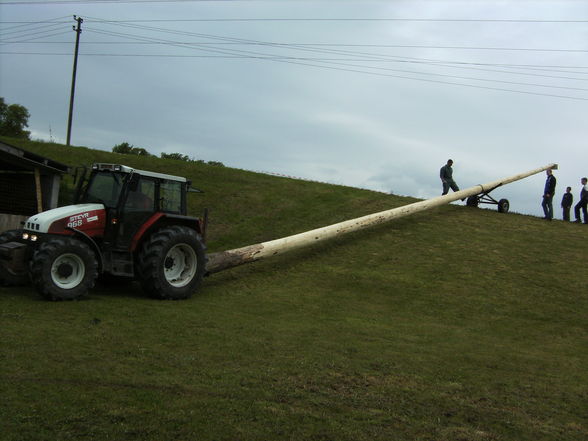 Maibaum aufstellen - 