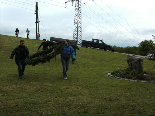 Maibaum aufstellen - 