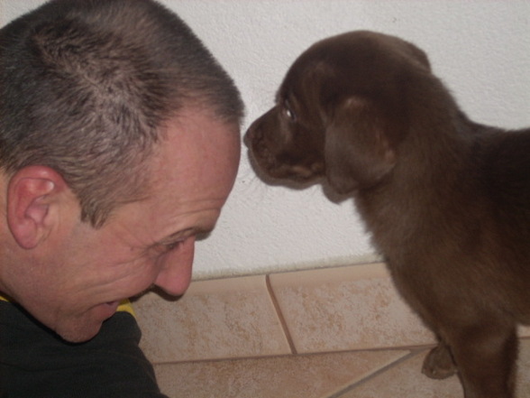 My new DOG(2007griagt) - 