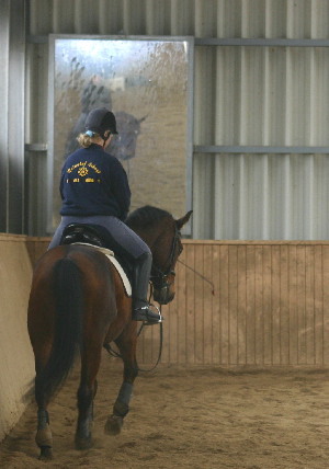 Reiten - 