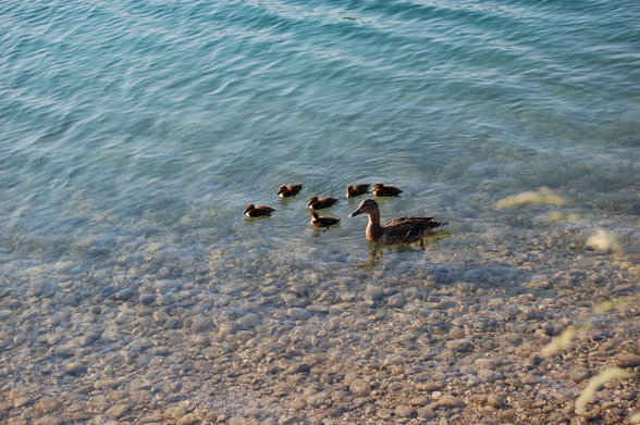 Ödersee - 