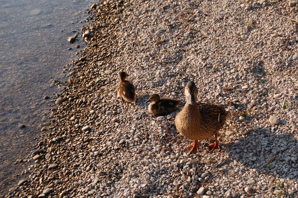 Ödersee - 