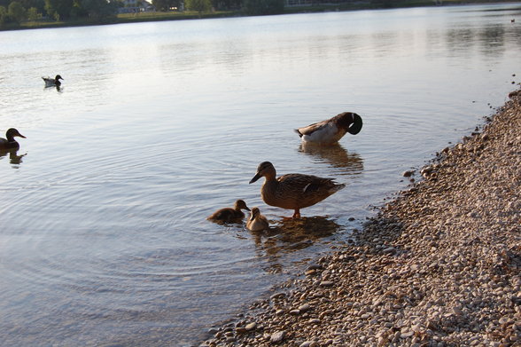 Ödersee - 