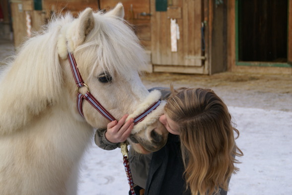 I and my HORSE - 