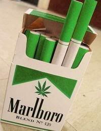 Marlboro Green - 