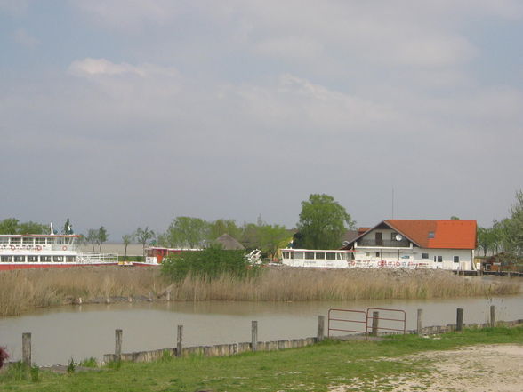 Weinverkostung im Burgenland 2008 - 