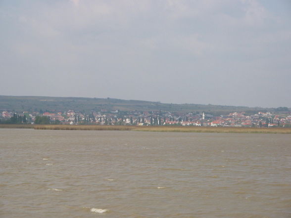 Weinverkostung im Burgenland 2008 - 