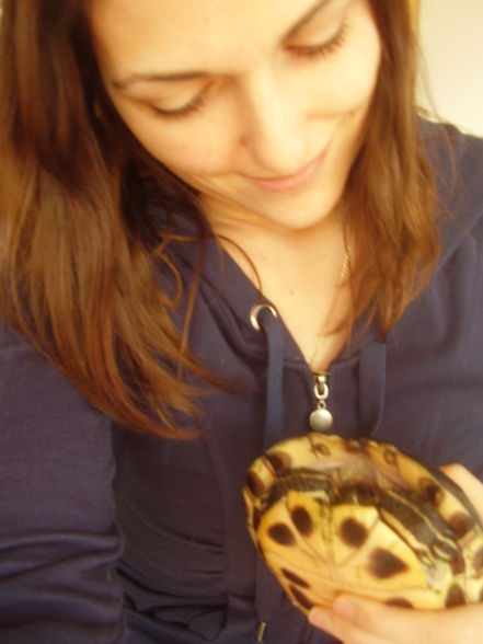 deshalb turtlegirl, *gg* - 