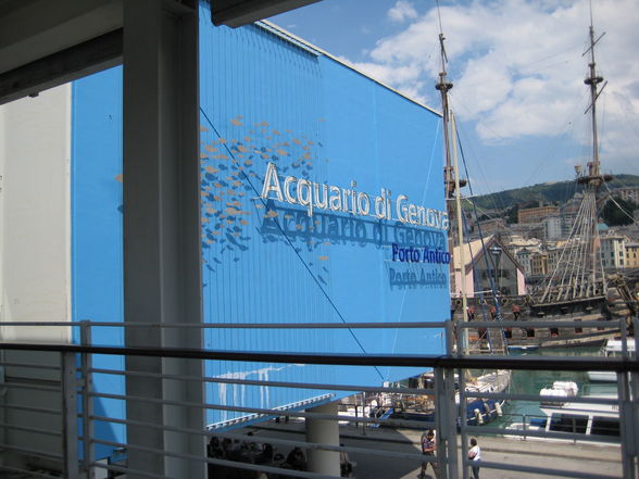 Aquarium Genua - 