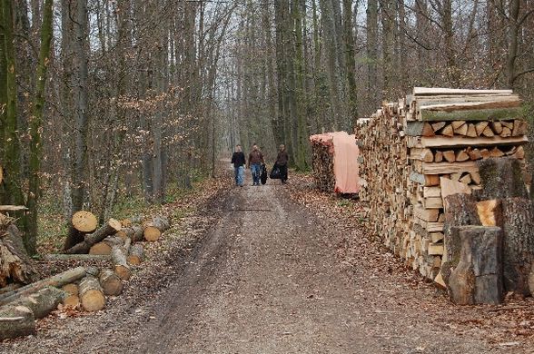 Müllsammelaktion der JVP Steinbach/Steyr - 