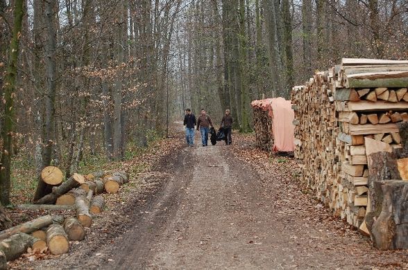 Müllsammelaktion der JVP Steinbach/Steyr - 