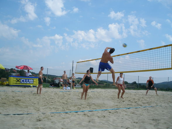 playing Volleyball - 