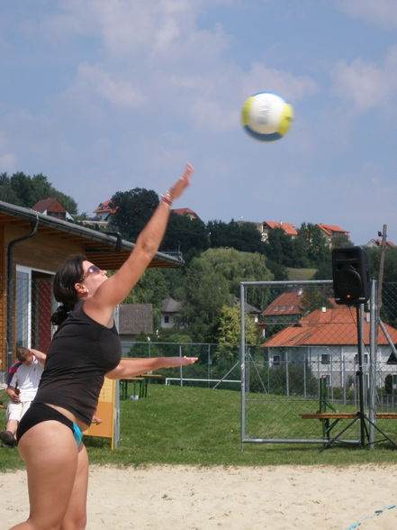 playing Volleyball - 